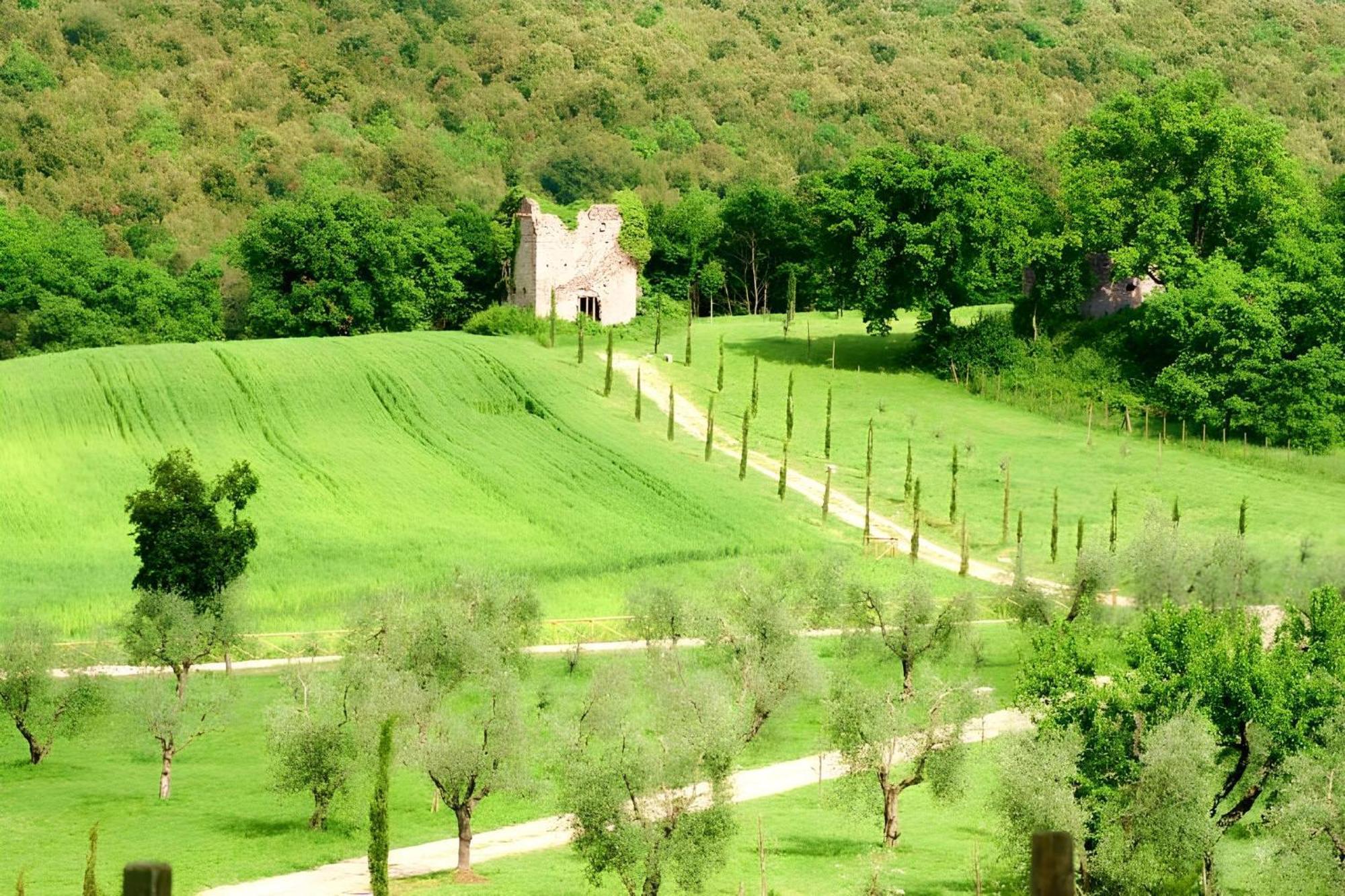 Tenuta Del Gallo Amelia Exterior photo