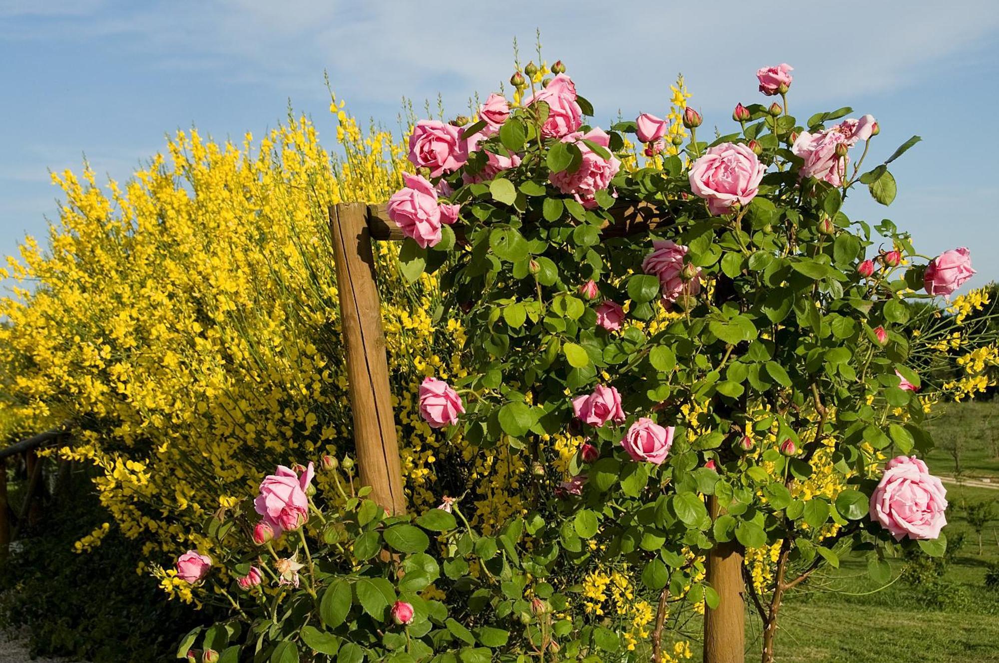 Tenuta Del Gallo Amelia Exterior photo